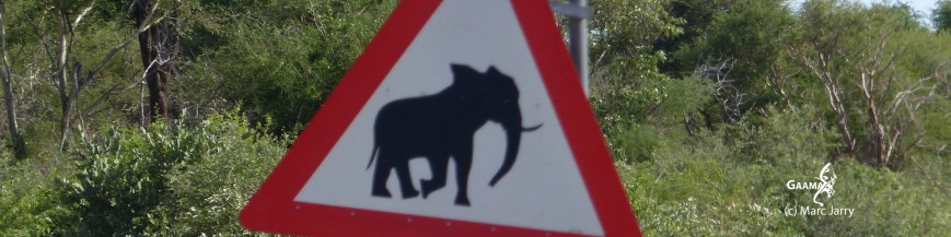 bandeau film namibie version 02