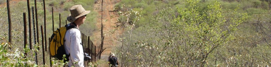 bandeau hON dans page02 1000 DPI