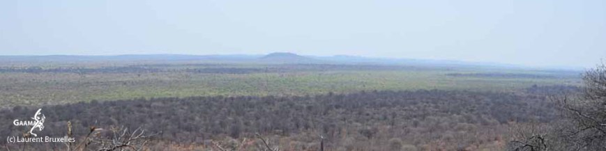 bandeau hON dans page03 1000 DPI