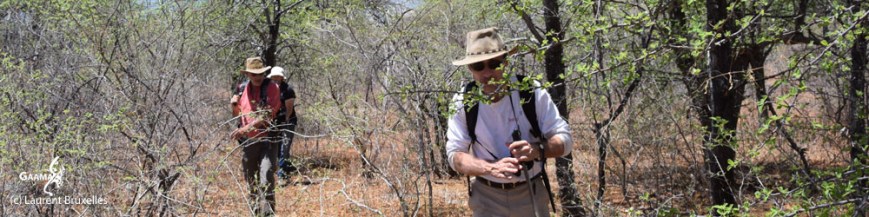 bandeau hON dans page04 1000 DPI