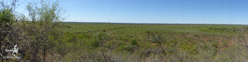 bandeau hON dans page06 1000 DPI