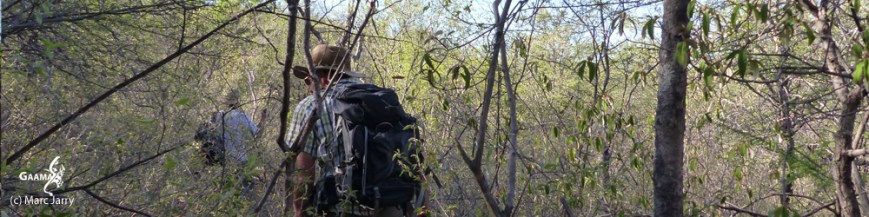 bandeau hON dans page07 1000 DPI