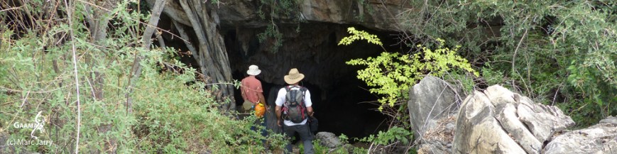 bandeau hON dans page09 1000 DPI