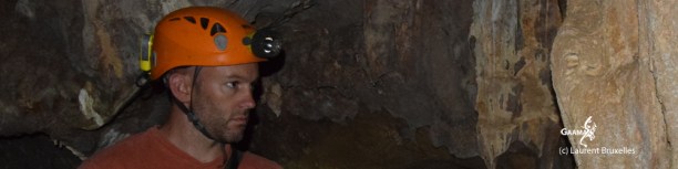 Dominic Stratford bandeau