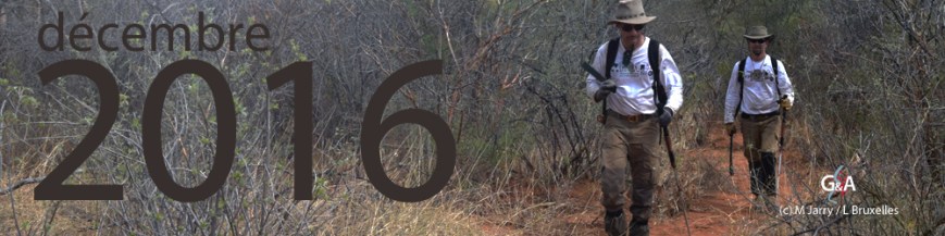 hon-dec-2015-journal-bandeau-1000-dpi