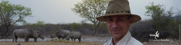 Marc Jarry bandeau NAmibie