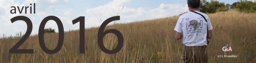 modele-hon-journal-bandeau-1000-dpi