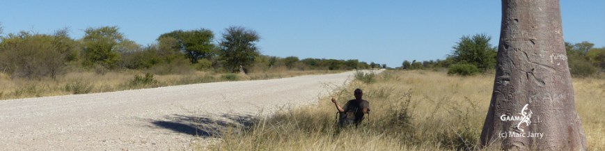 HON avril 2016 piste baobab1000 DPI.jpg