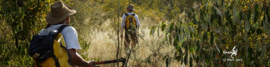 HON avril 2016 prospect 03 1000 DPI