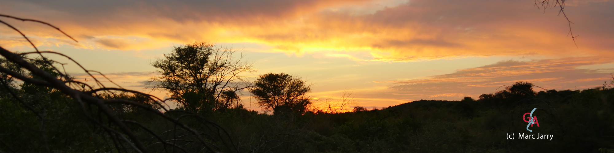 bandeau HON2017 001.jpg