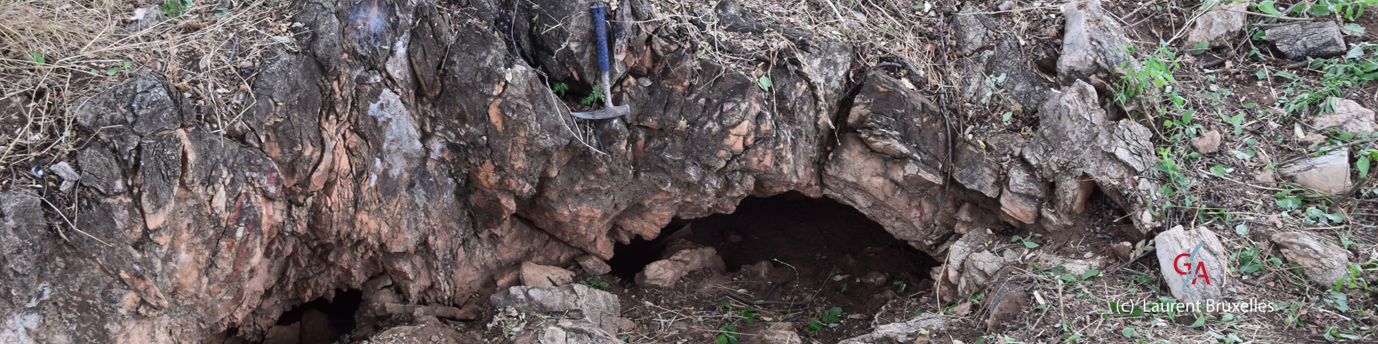 bandeau HON2017 008.jpg