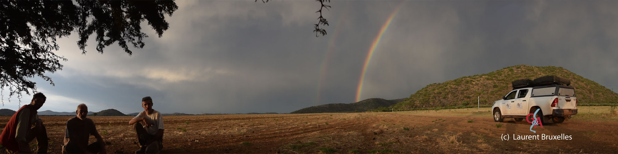 HON2017-part02-band001