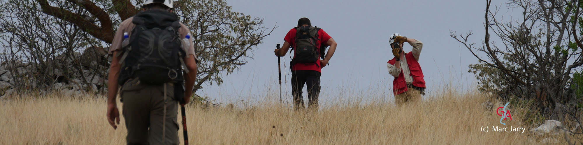 HON2017-part02-band003