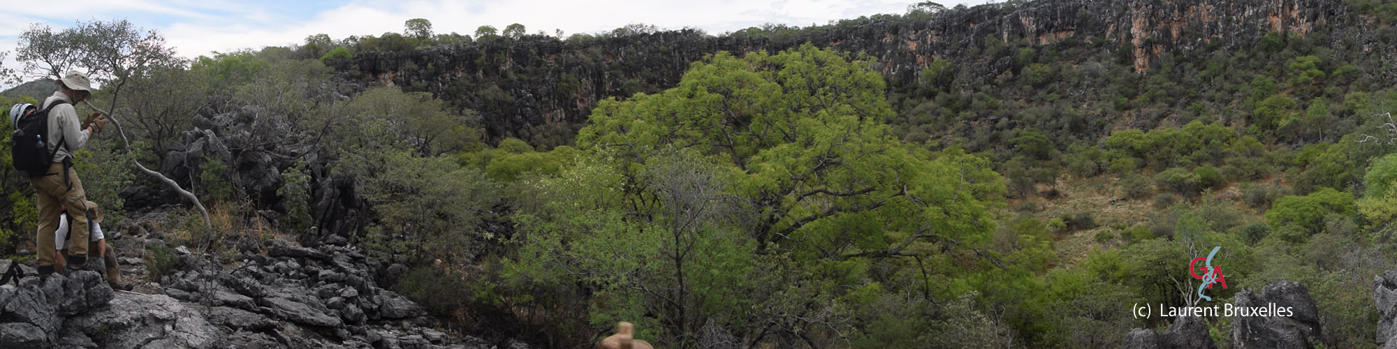 HON2017-part02-band005