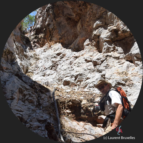 HON2017-part02-rond001