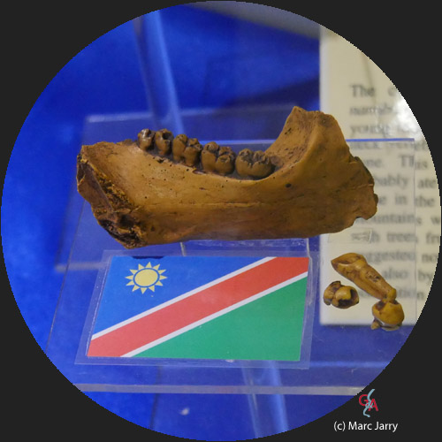 HON2017-part02-rond009