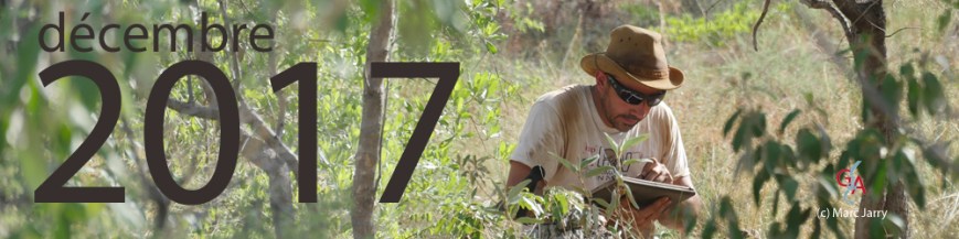 Modèle HON journal bandeau 1000 DPI