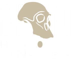 LOGO HON blanc fond transparent.png