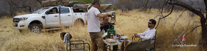 Modèle HON journal bandeau 1000 DPI