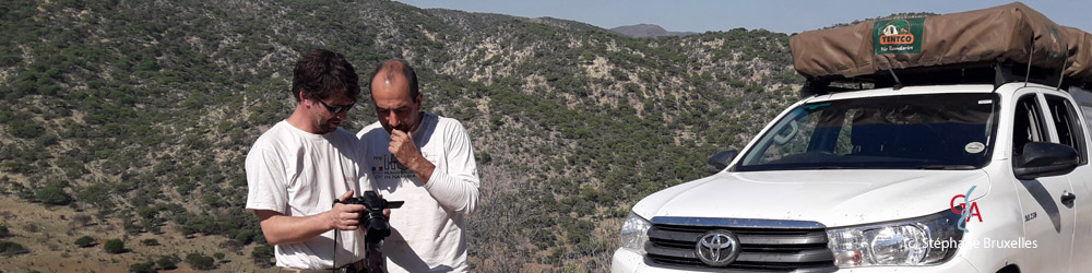 SBRUXELLES 12_2018 XXX.jpg