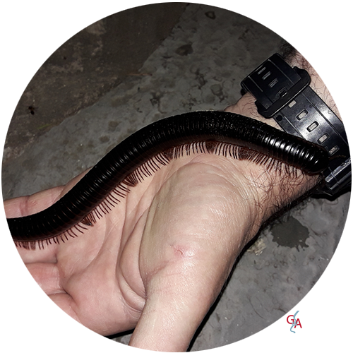 SBRUXELLES_12_2018 (218)