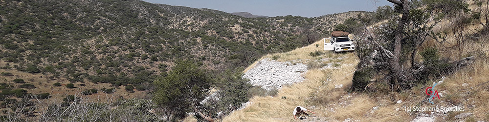 SBRUXELLES_12_2018 (228)