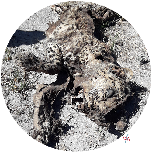 SBRUXELLES_12_2018 (30)