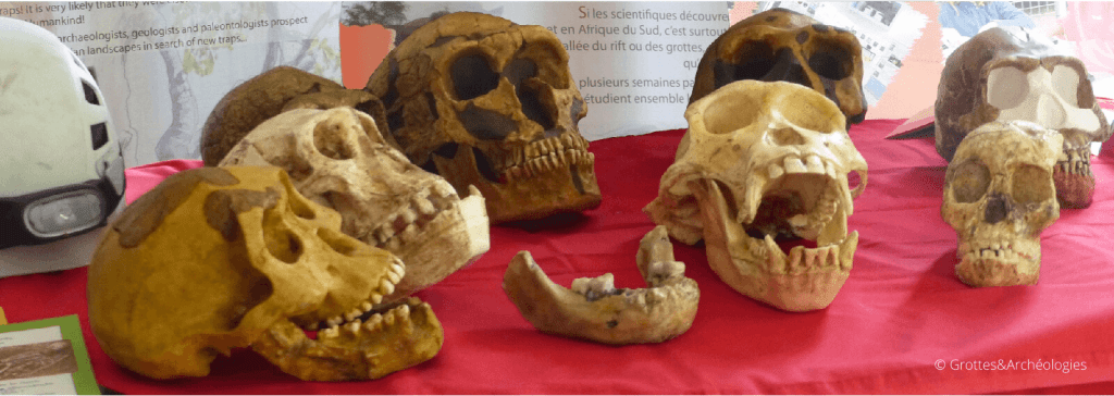 Ateliers Évolutions de l'Homme pour le challenge de lutte contre le racisme