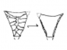 Flèches montclus 
(c) Morgane Dachary, Jean-Claude Merlet, Mathilde Miquéou, Jean-Baptiste Mallye, Olivier Le Gall and Anne Eastham, « Les occupations mésolithiques de Bourrouilla à Arancou (Pyrénées-Atlantiques, France) », PALEO, 24 | 2013, 79-102.