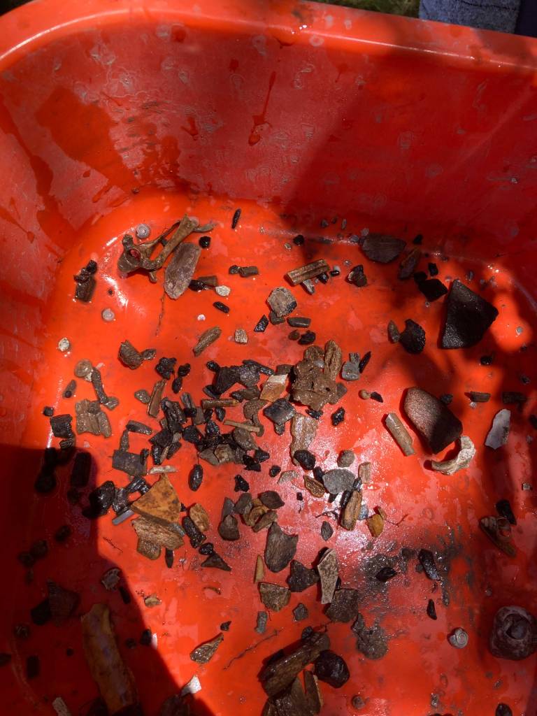 Photo du matériel archéologique retrouvé suite au tamisage.