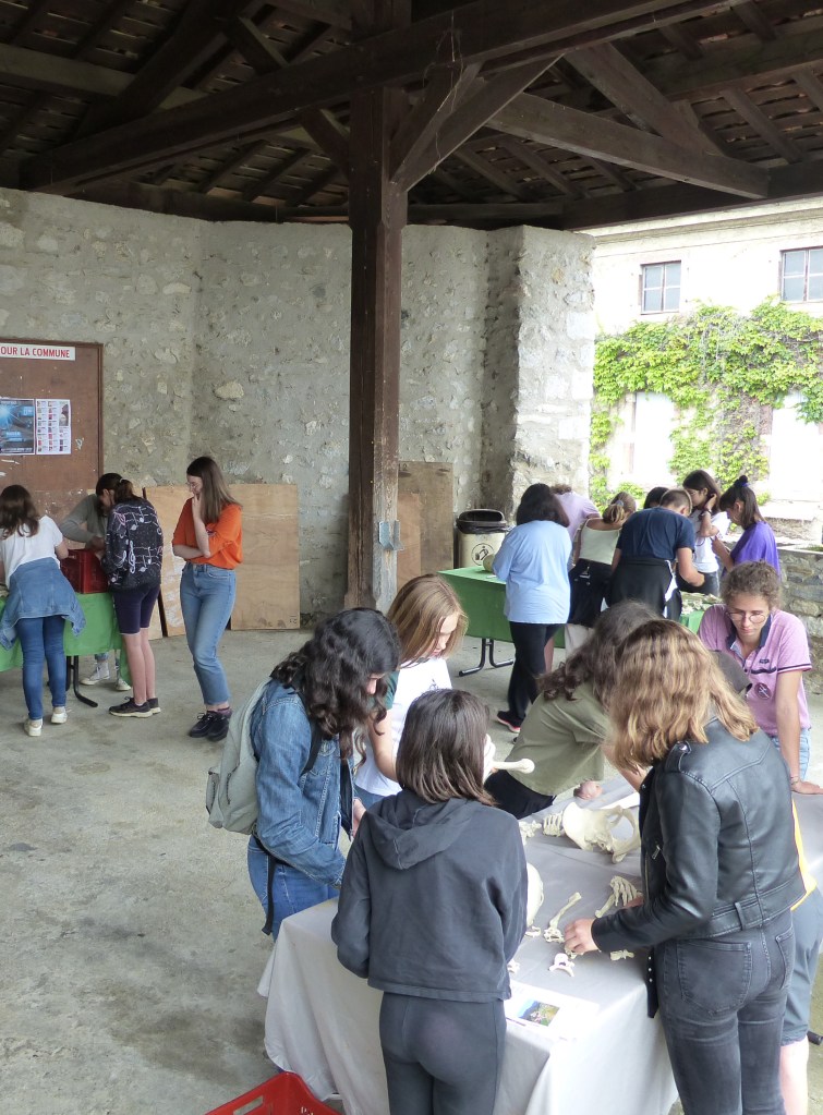 Des élèves en pleine activité sur l'anthropologie ! (c) Tristan Lasuen