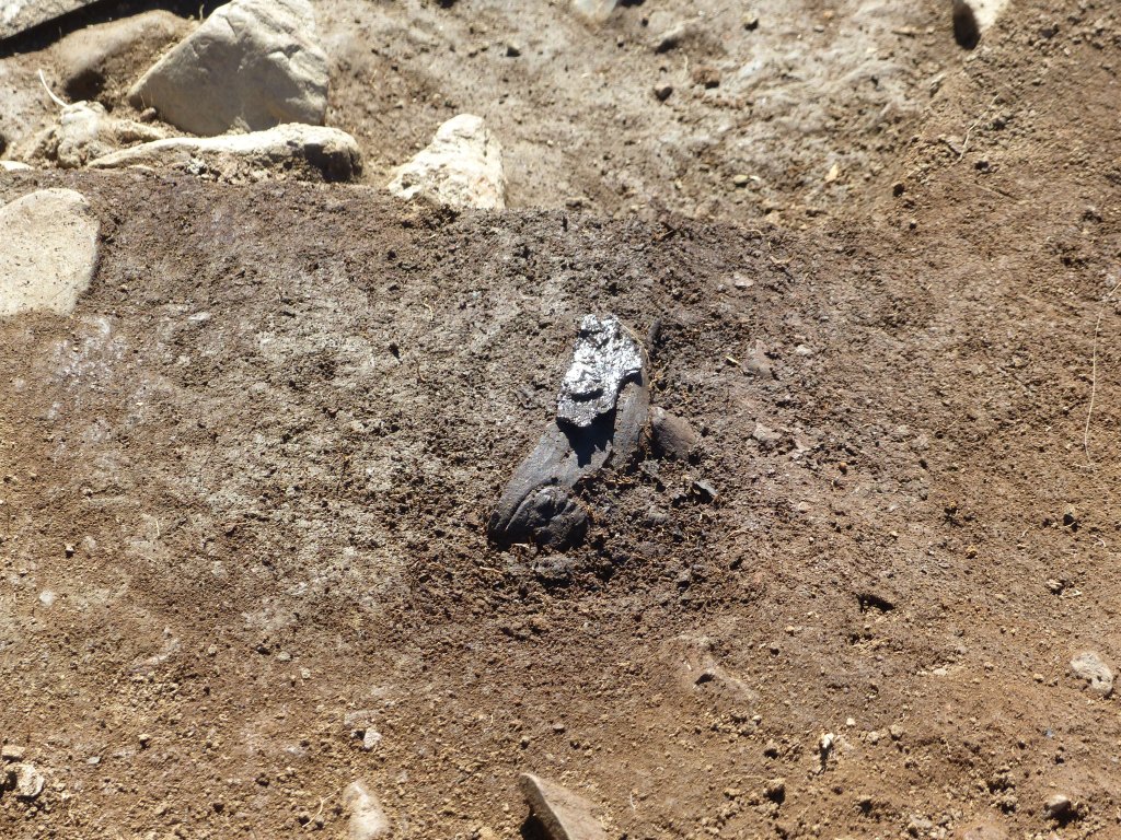Morceau de clayonnage retrouvé dans la terre rubéfiée.