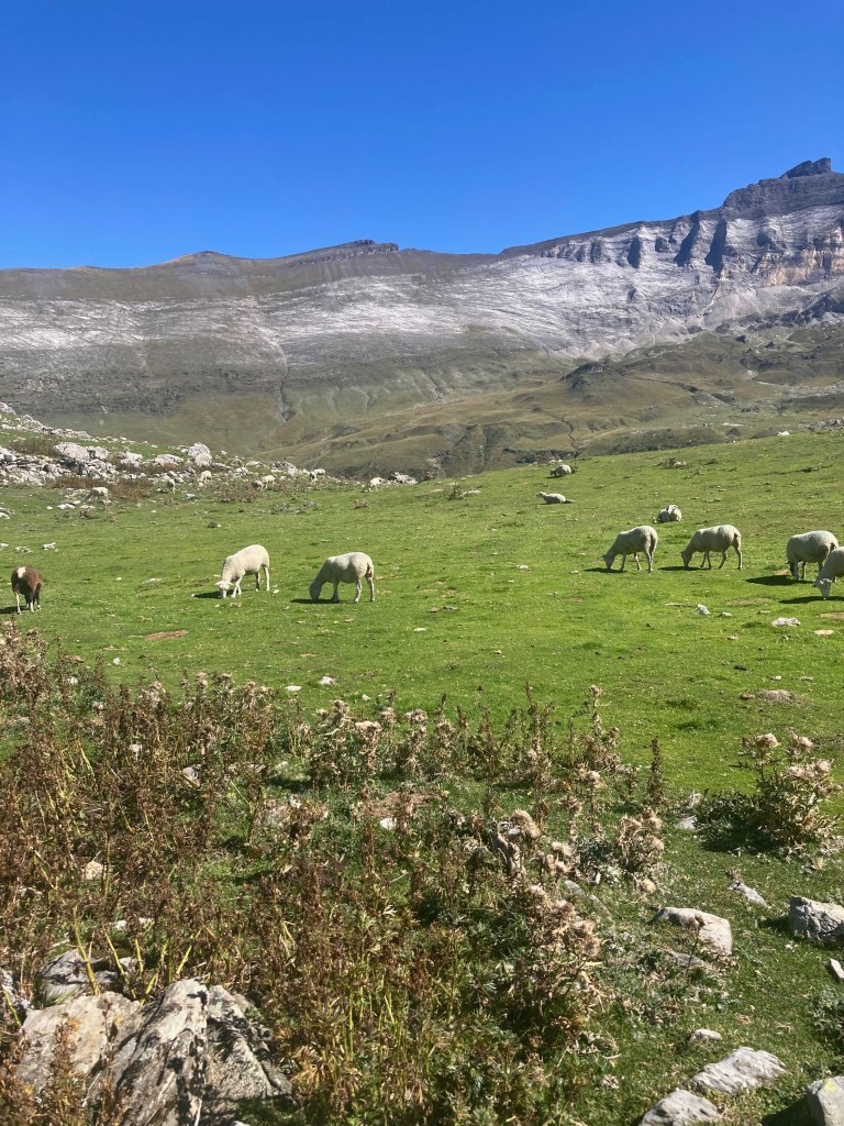 Photo du paysage du Cirque de Troumouse