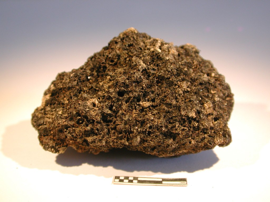 Agglomérat de graines de millet provenant du site de la Plaine à Puylaurens (fouille L. Grimbert 2006)