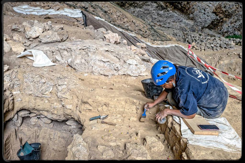 Avis Babalu fouillant au pinceau 
©Frédérique Chollet